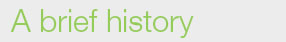 A brief history of Doddle